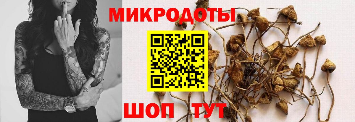 Псилоцибиновые грибы Cubensis Ставрополь